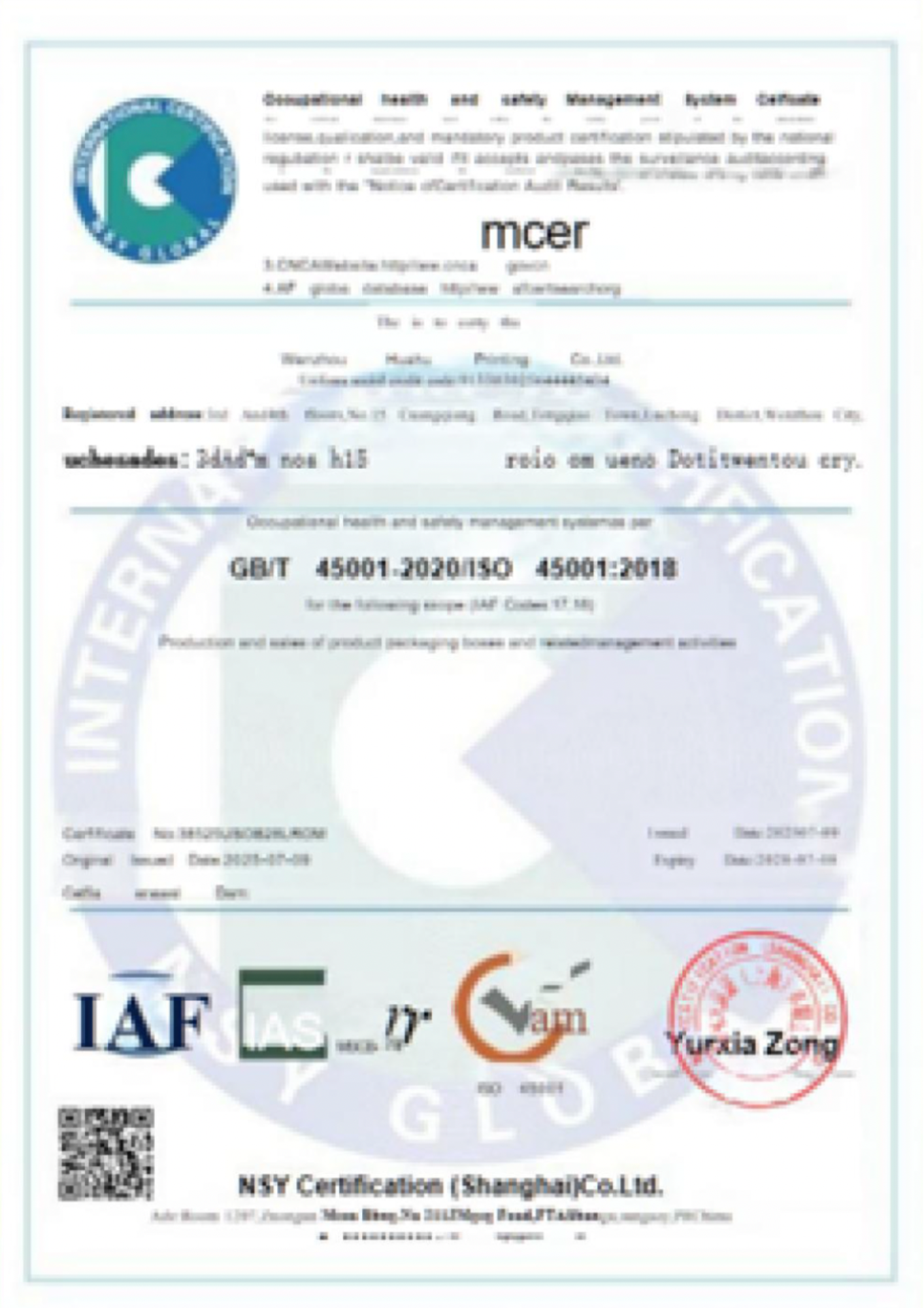 Health and safety management system certificate preview